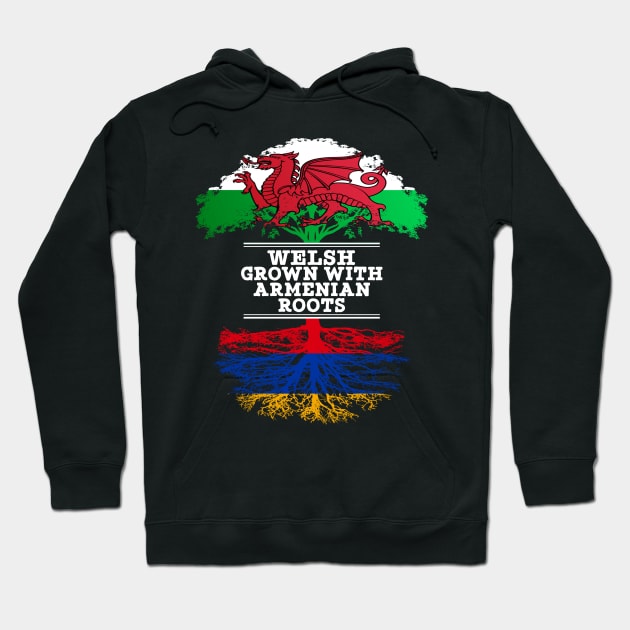 Welsh Grown With Armenian Roots - Gift for Armenian With Roots From Armenia Hoodie by Country Flags